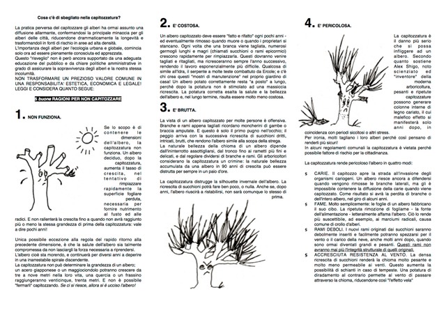 Capitozzatura 2